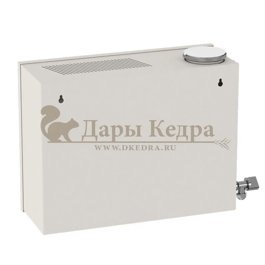 Парогенератор проточный, 2 кВт с выносным цифровым пультом управления